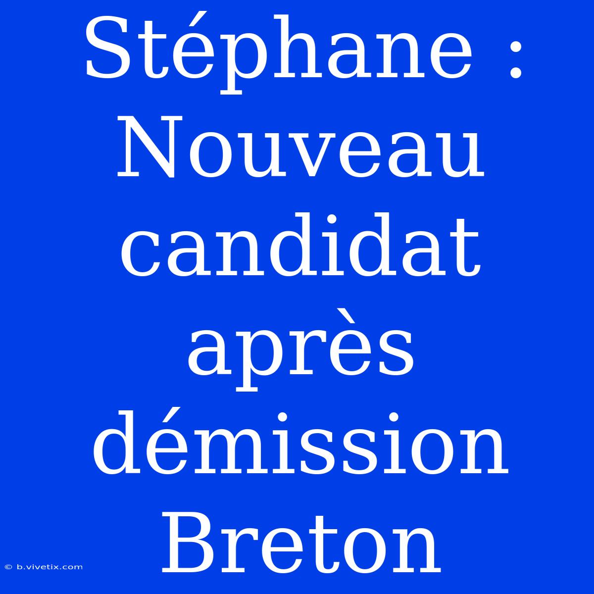 Stéphane : Nouveau Candidat Après Démission Breton