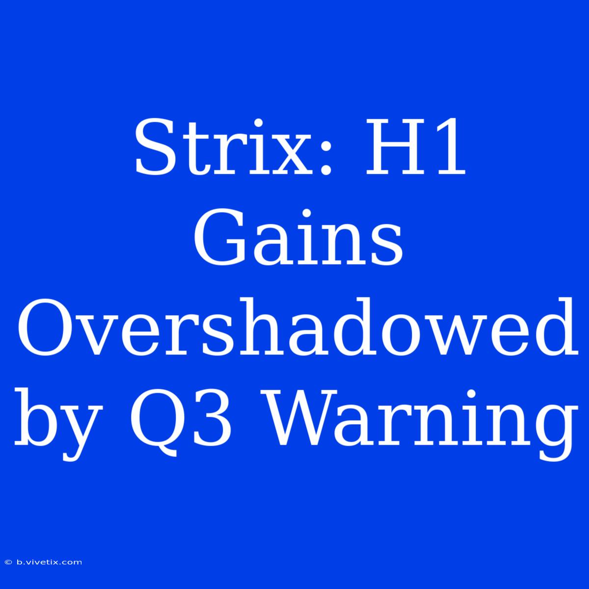 Strix: H1 Gains Overshadowed By Q3 Warning