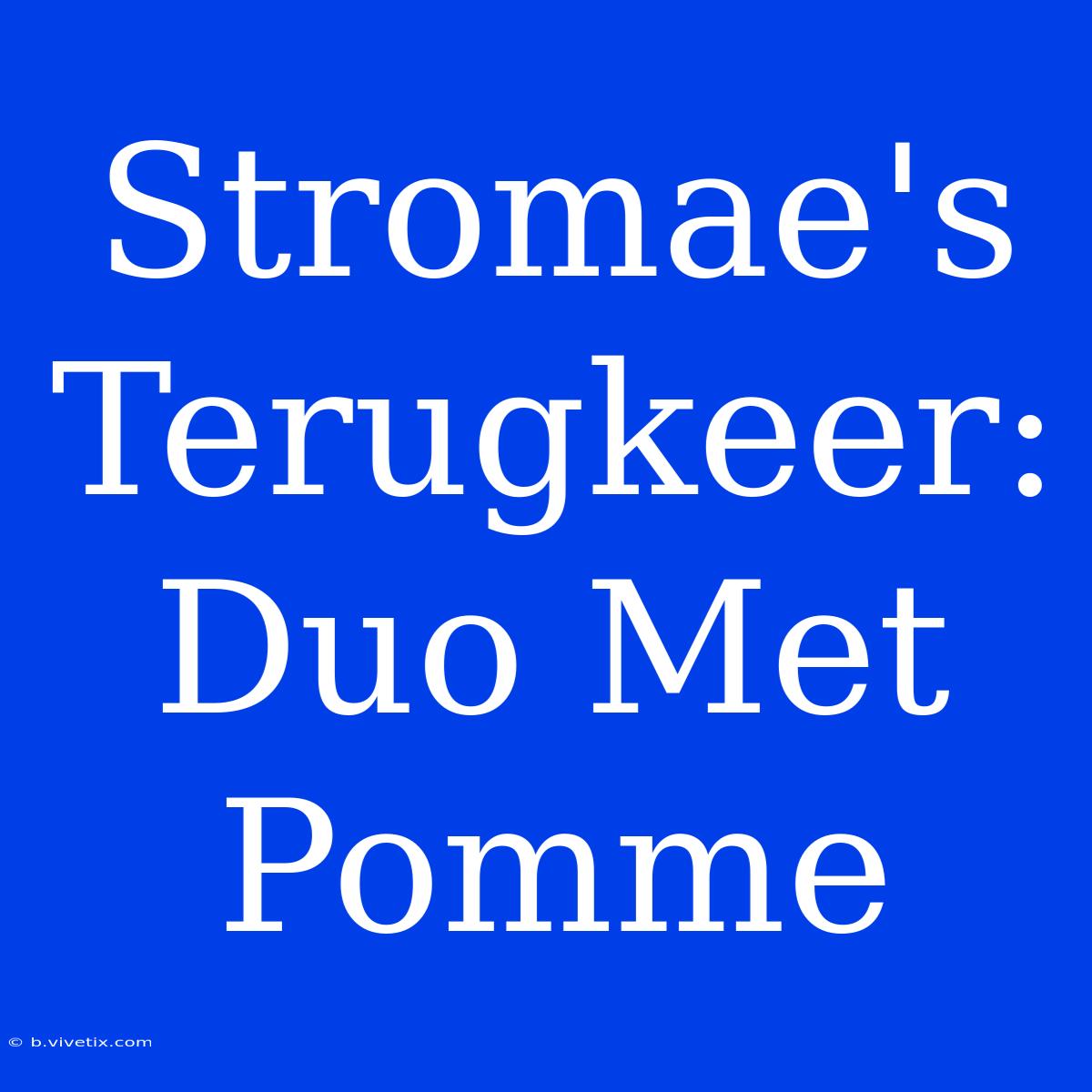 Stromae's Terugkeer: Duo Met Pomme 