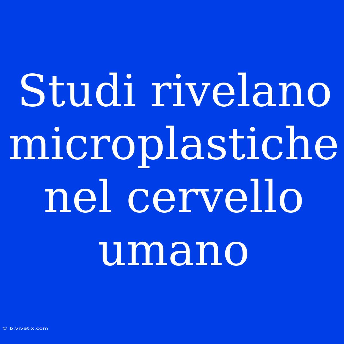 Studi Rivelano Microplastiche Nel Cervello Umano