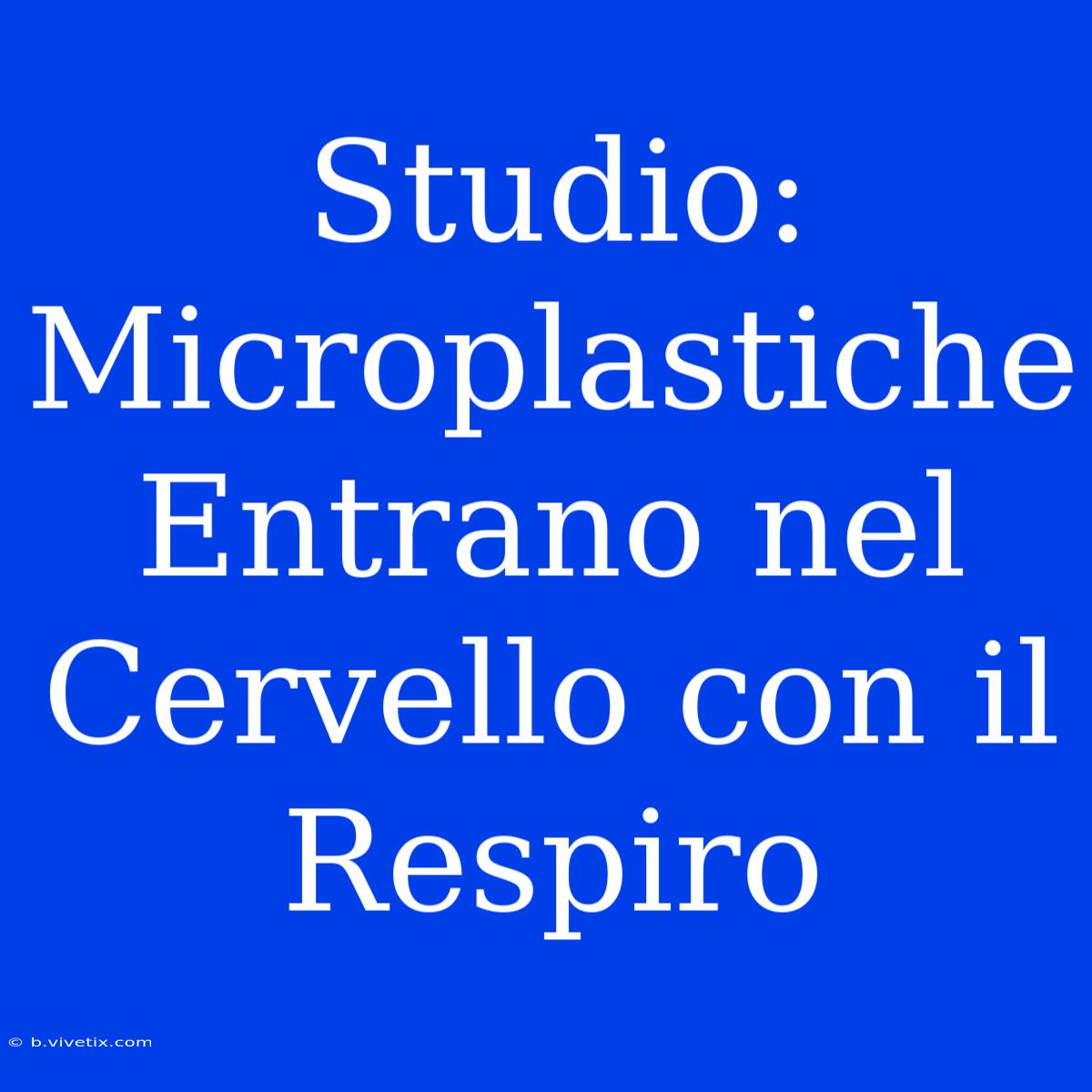 Studio: Microplastiche Entrano Nel Cervello Con Il Respiro