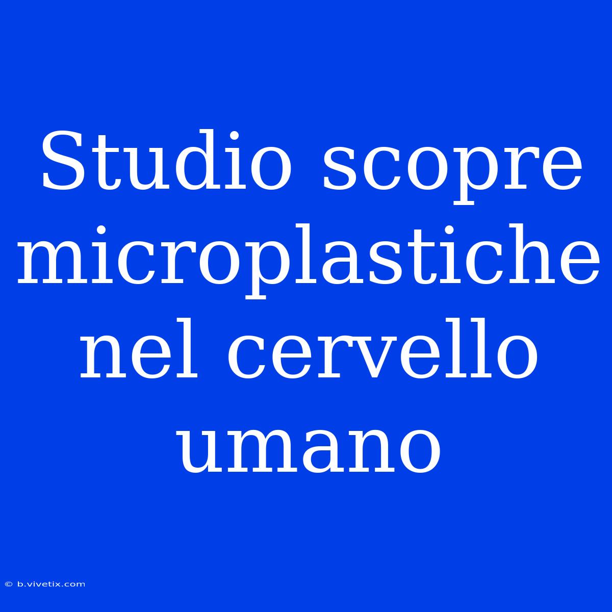 Studio Scopre Microplastiche Nel Cervello Umano