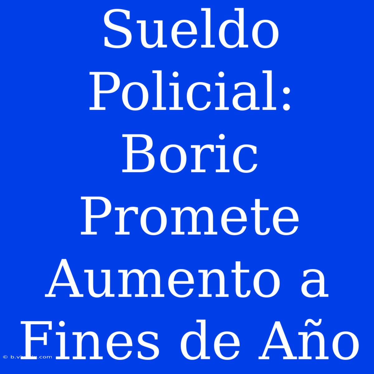 Sueldo Policial: Boric Promete Aumento A Fines De Año