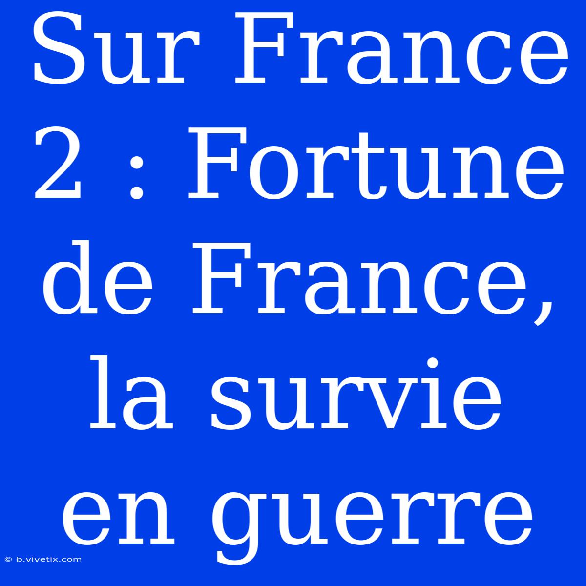 Sur France 2 : Fortune De France, La Survie En Guerre