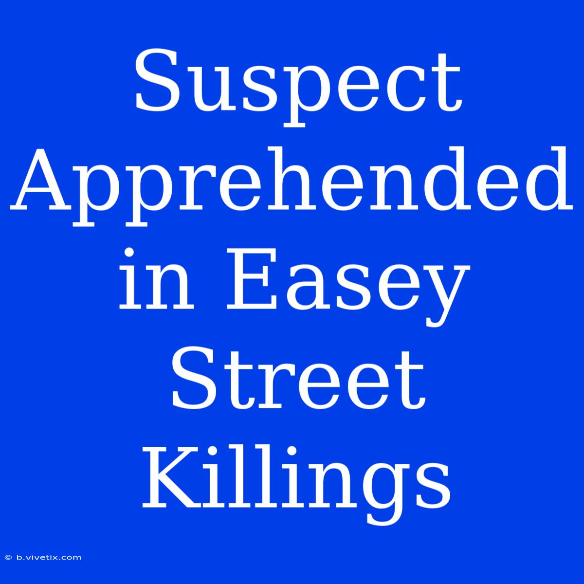 Suspect Apprehended In Easey Street Killings