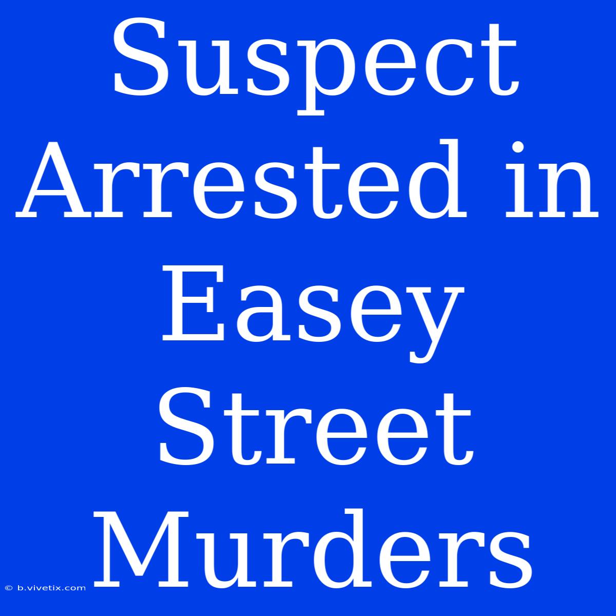 Suspect Arrested In Easey Street Murders 