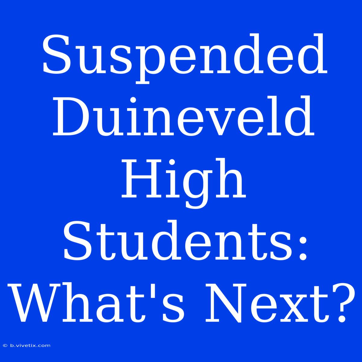 Suspended Duineveld High Students: What's Next? 