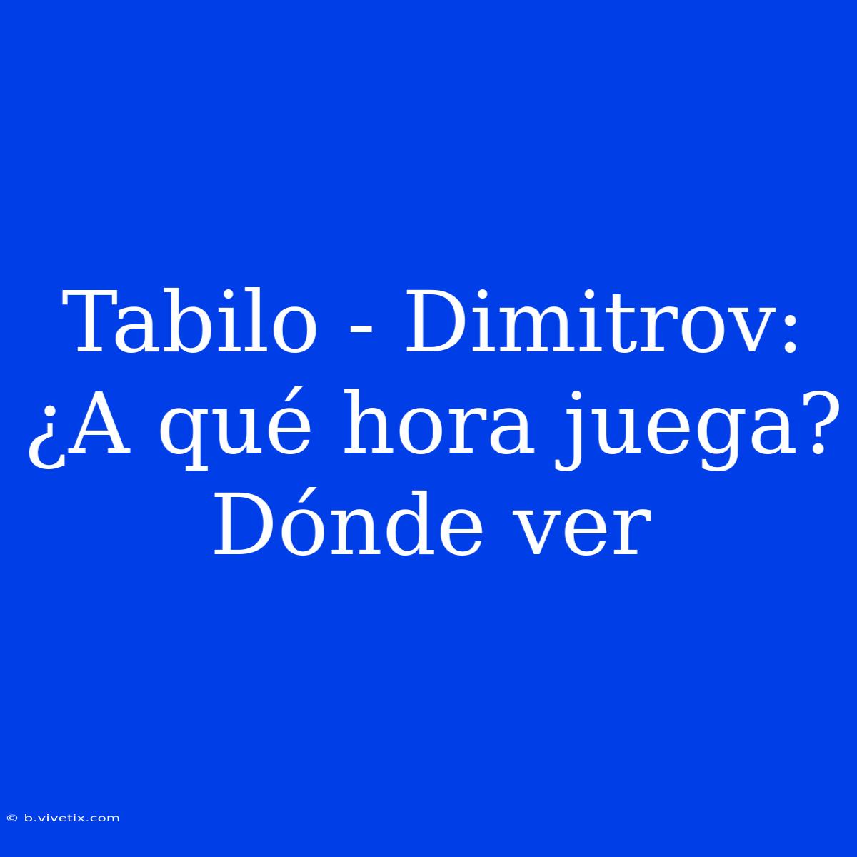 Tabilo - Dimitrov: ¿A Qué Hora Juega? Dónde Ver