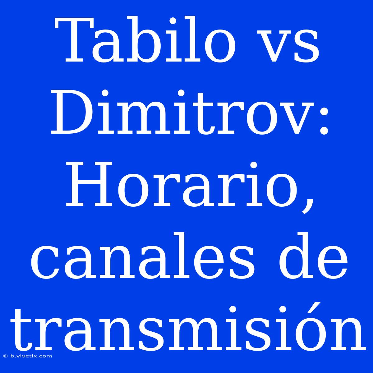 Tabilo Vs Dimitrov: Horario, Canales De Transmisión