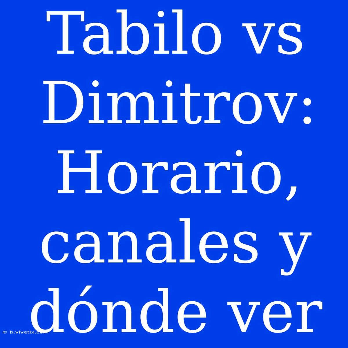 Tabilo Vs Dimitrov: Horario, Canales Y Dónde Ver