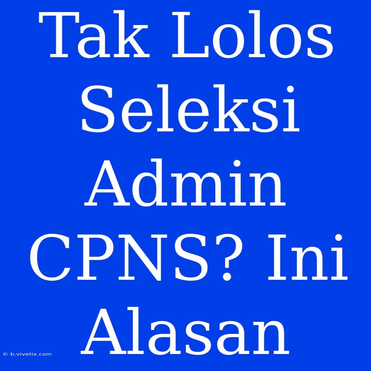 Tak Lolos Seleksi Admin CPNS? Ini Alasan