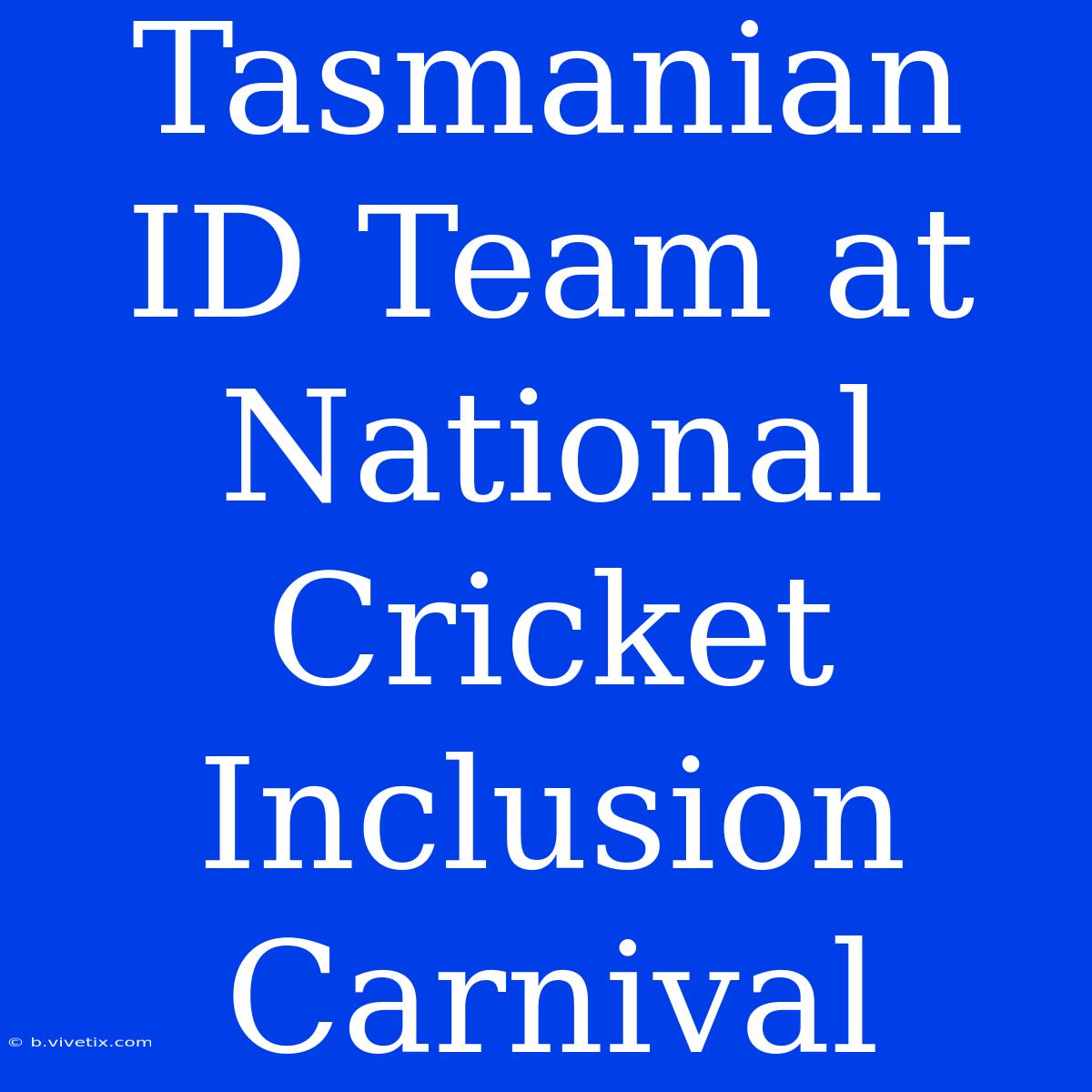 Tasmanian ID Team At National Cricket Inclusion Carnival