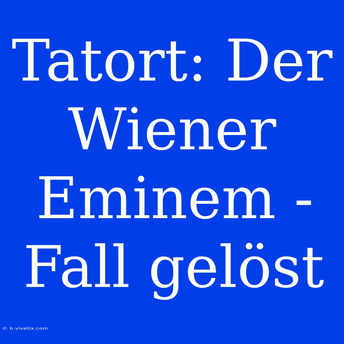 Tatort: Der Wiener Eminem - Fall Gelöst