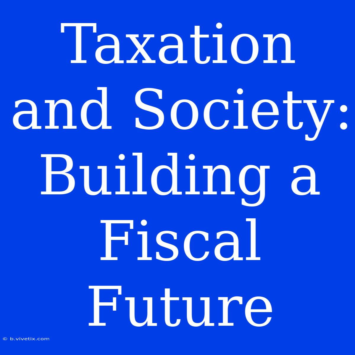 Taxation And Society: Building A Fiscal Future