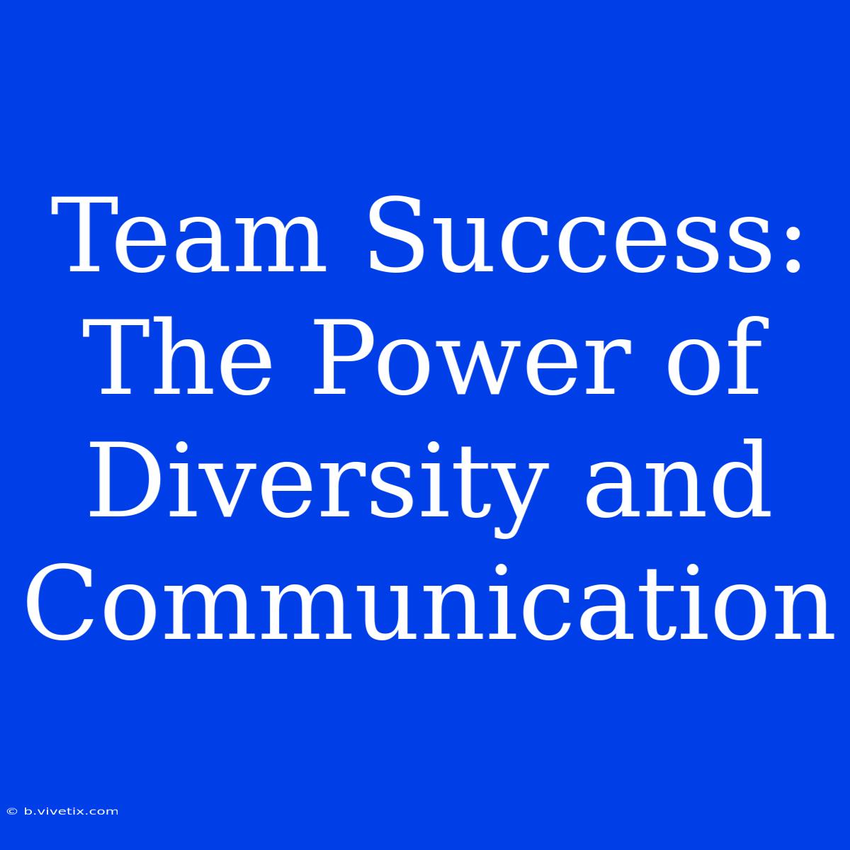 Team Success: The Power Of Diversity And Communication 