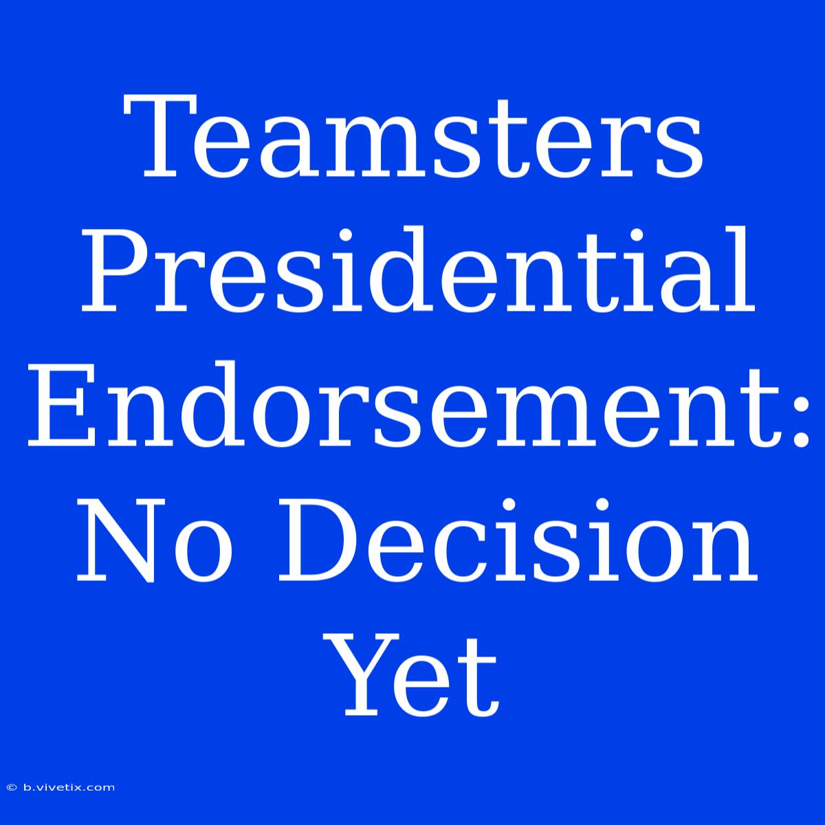 Teamsters Presidential Endorsement: No Decision Yet