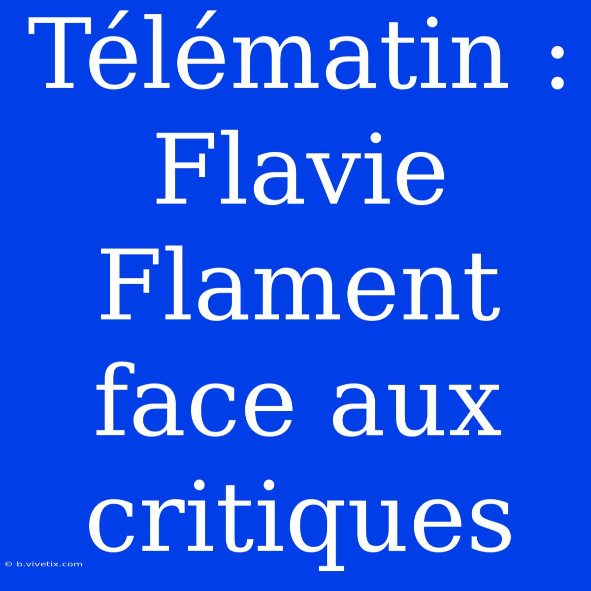 Télématin : Flavie Flament Face Aux Critiques