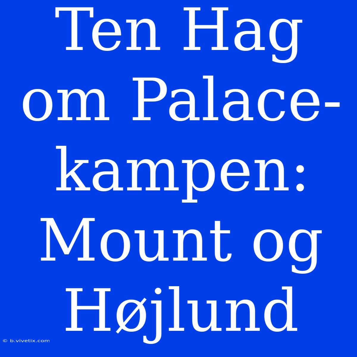 Ten Hag Om Palace-kampen: Mount Og Højlund