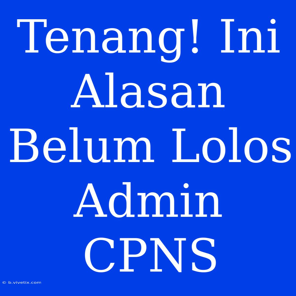 Tenang! Ini Alasan Belum Lolos Admin CPNS