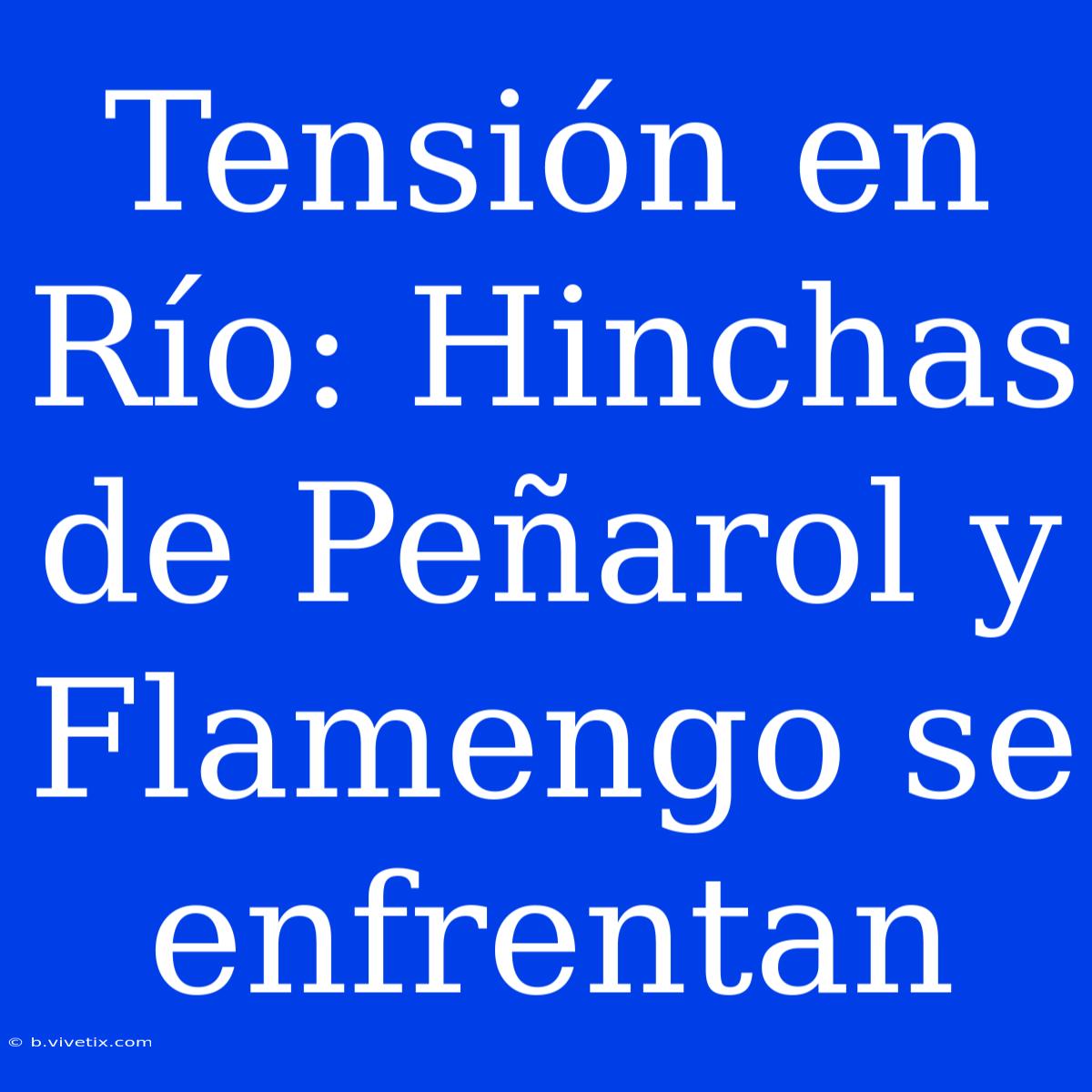 Tensión En Río: Hinchas De Peñarol Y Flamengo Se Enfrentan