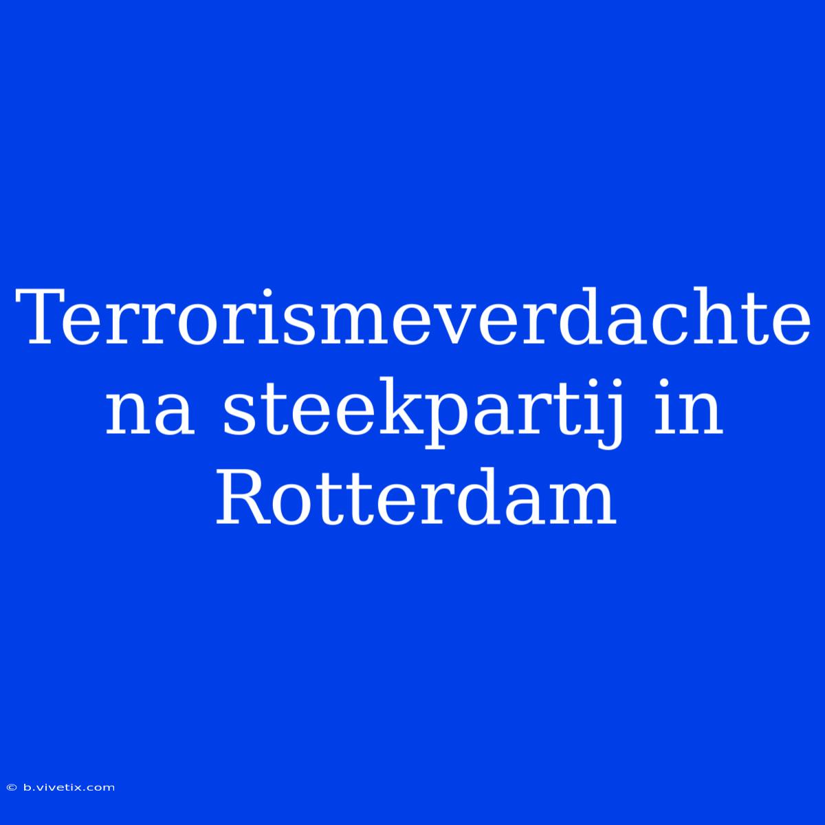 Terrorismeverdachte Na Steekpartij In Rotterdam