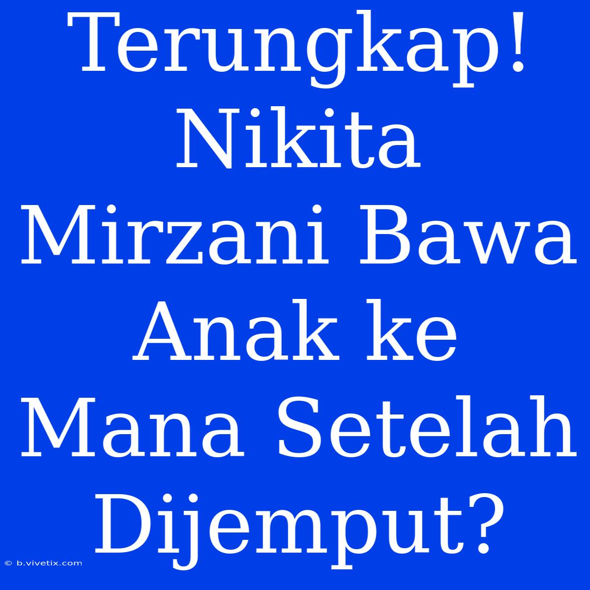 Terungkap! Nikita Mirzani Bawa Anak Ke Mana Setelah Dijemput?