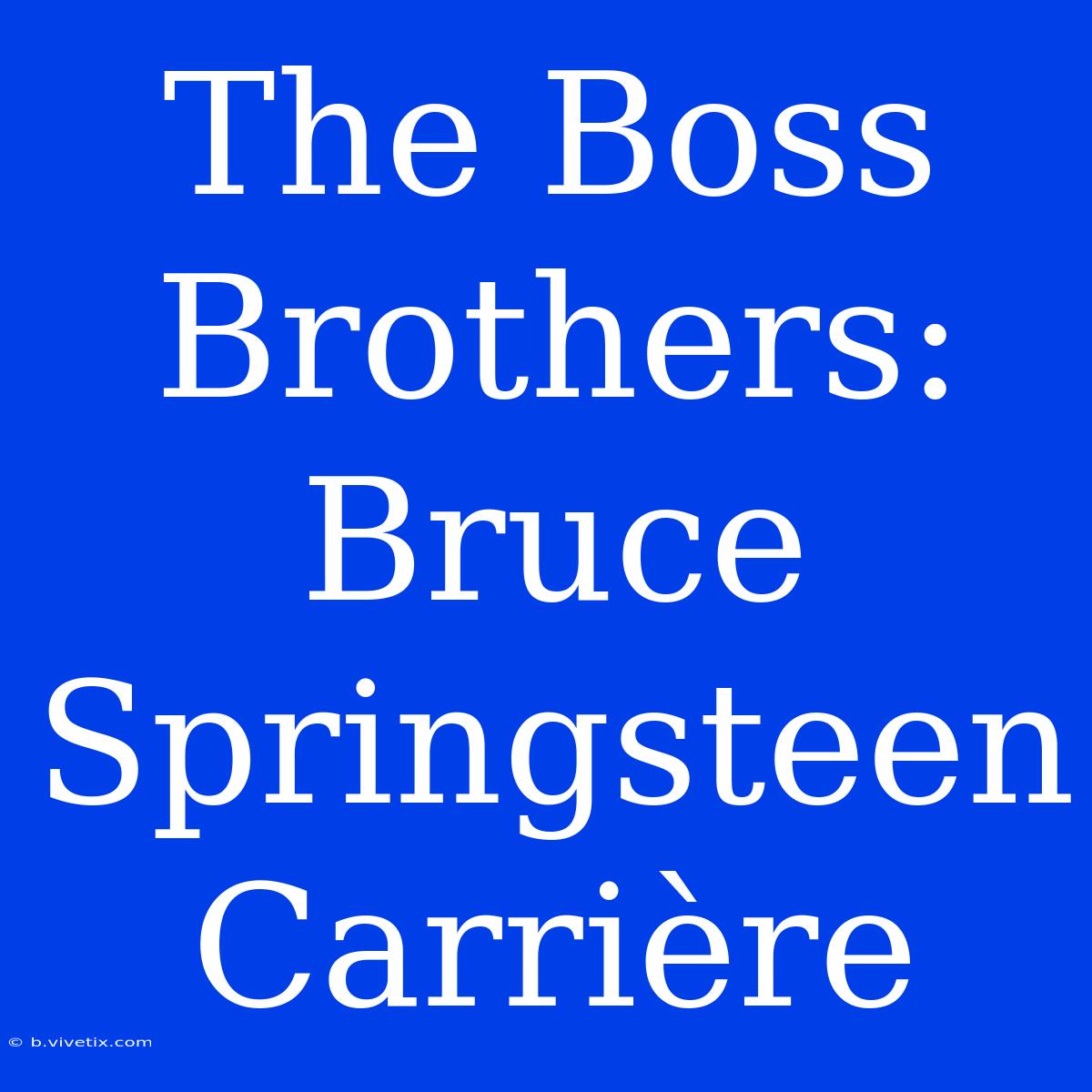 The Boss Brothers: Bruce Springsteen Carrière