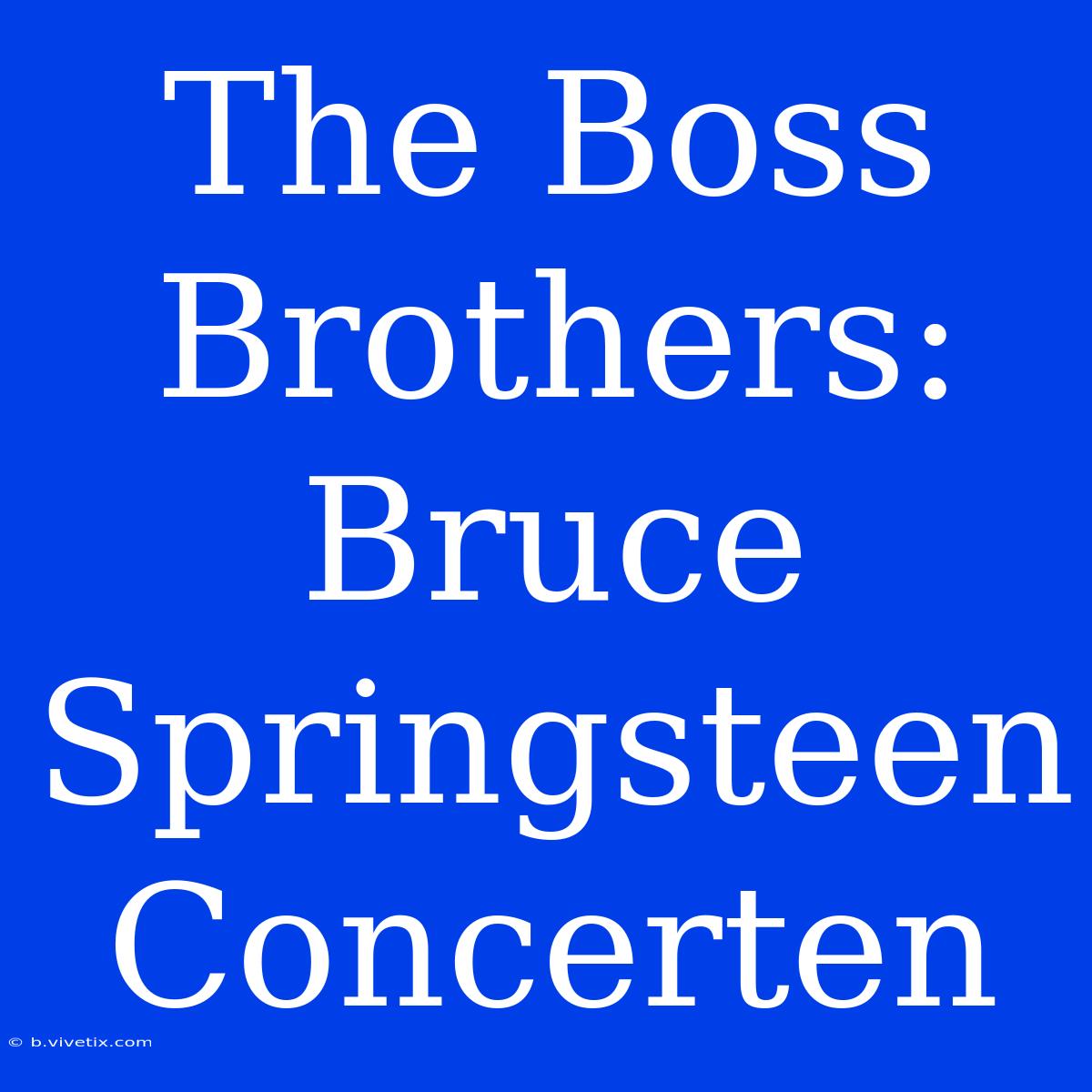 The Boss Brothers: Bruce Springsteen Concerten