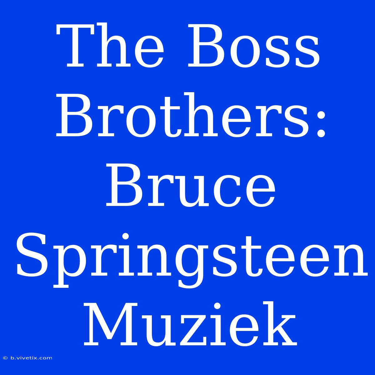 The Boss Brothers: Bruce Springsteen Muziek