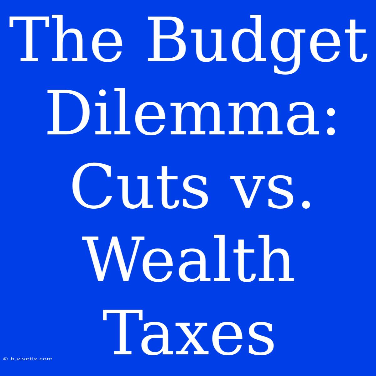 The Budget Dilemma: Cuts Vs. Wealth Taxes