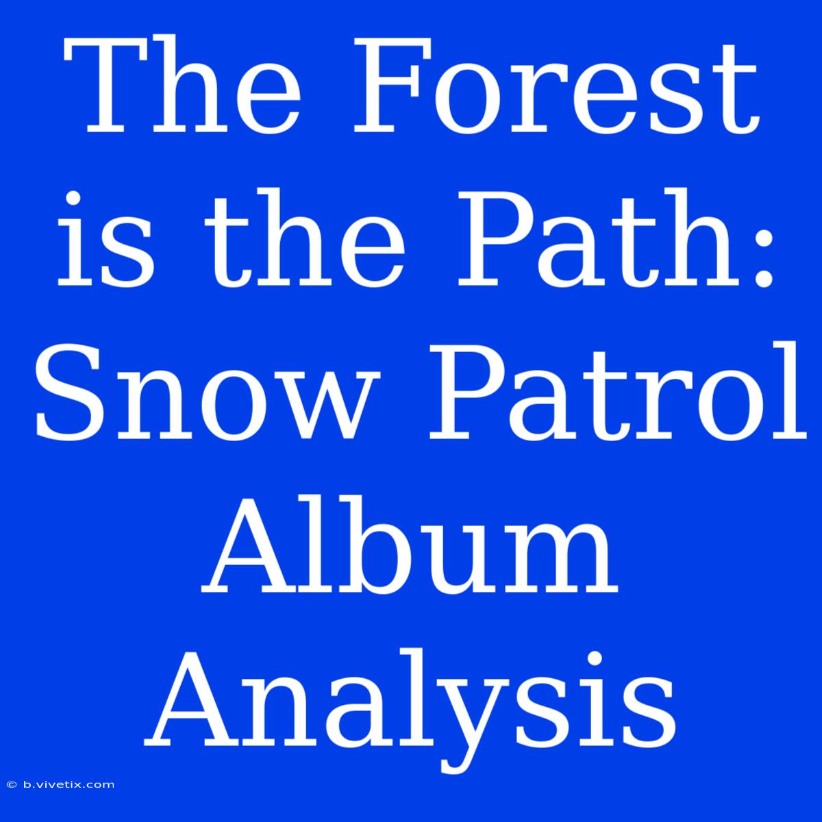 The Forest Is The Path: Snow Patrol Album Analysis 