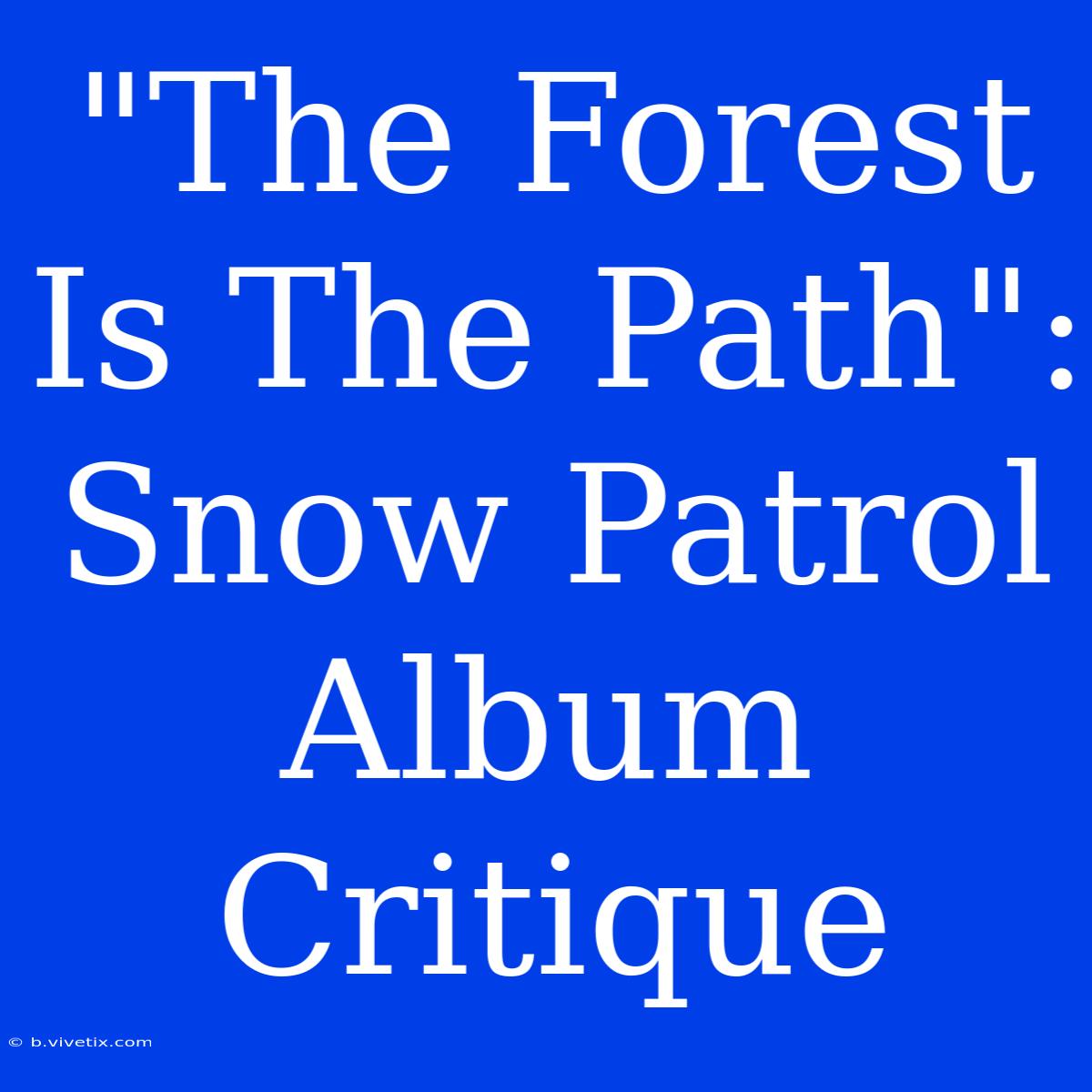 The Forest Is The Path: Snow Patrol Album Critique