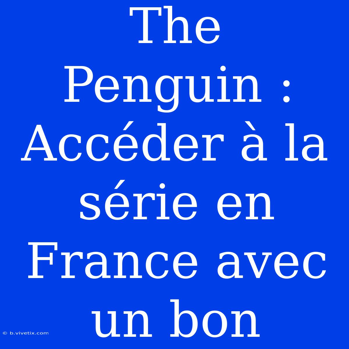 The Penguin : Accéder À La Série En France Avec Un Bon 