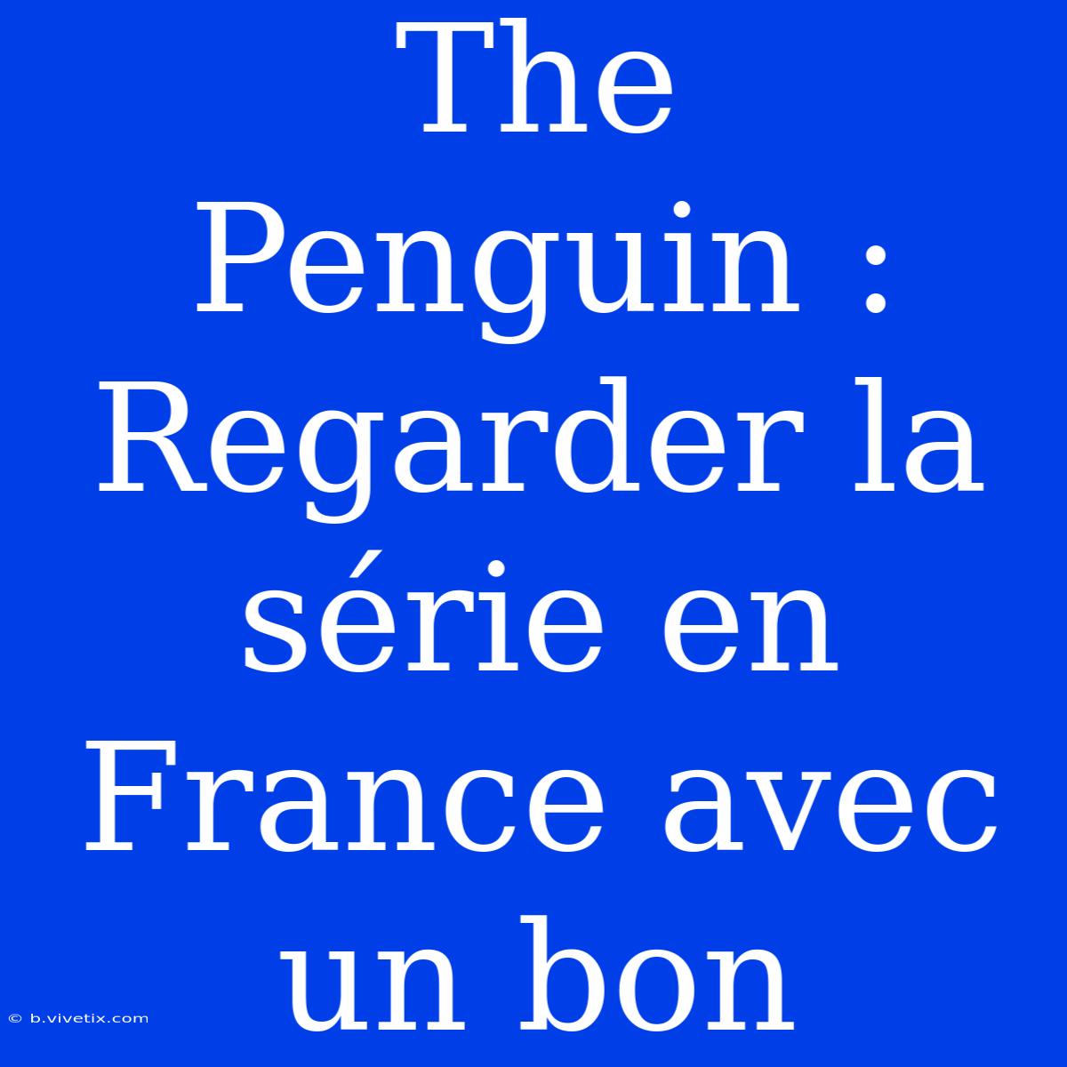 The Penguin : Regarder La Série En France Avec Un Bon