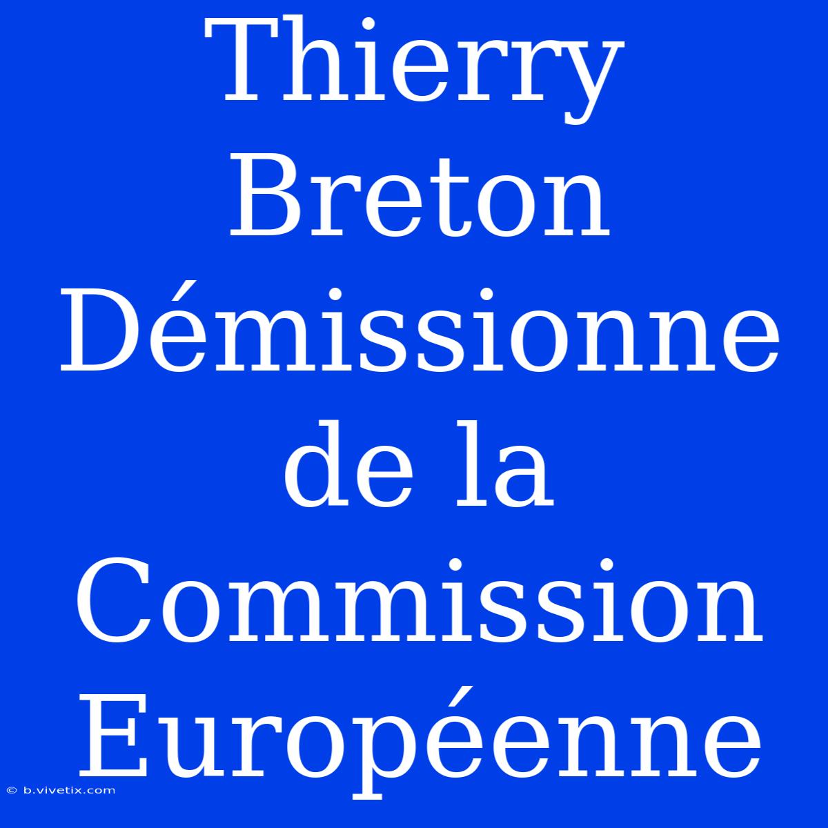 Thierry Breton Démissionne De La Commission Européenne 