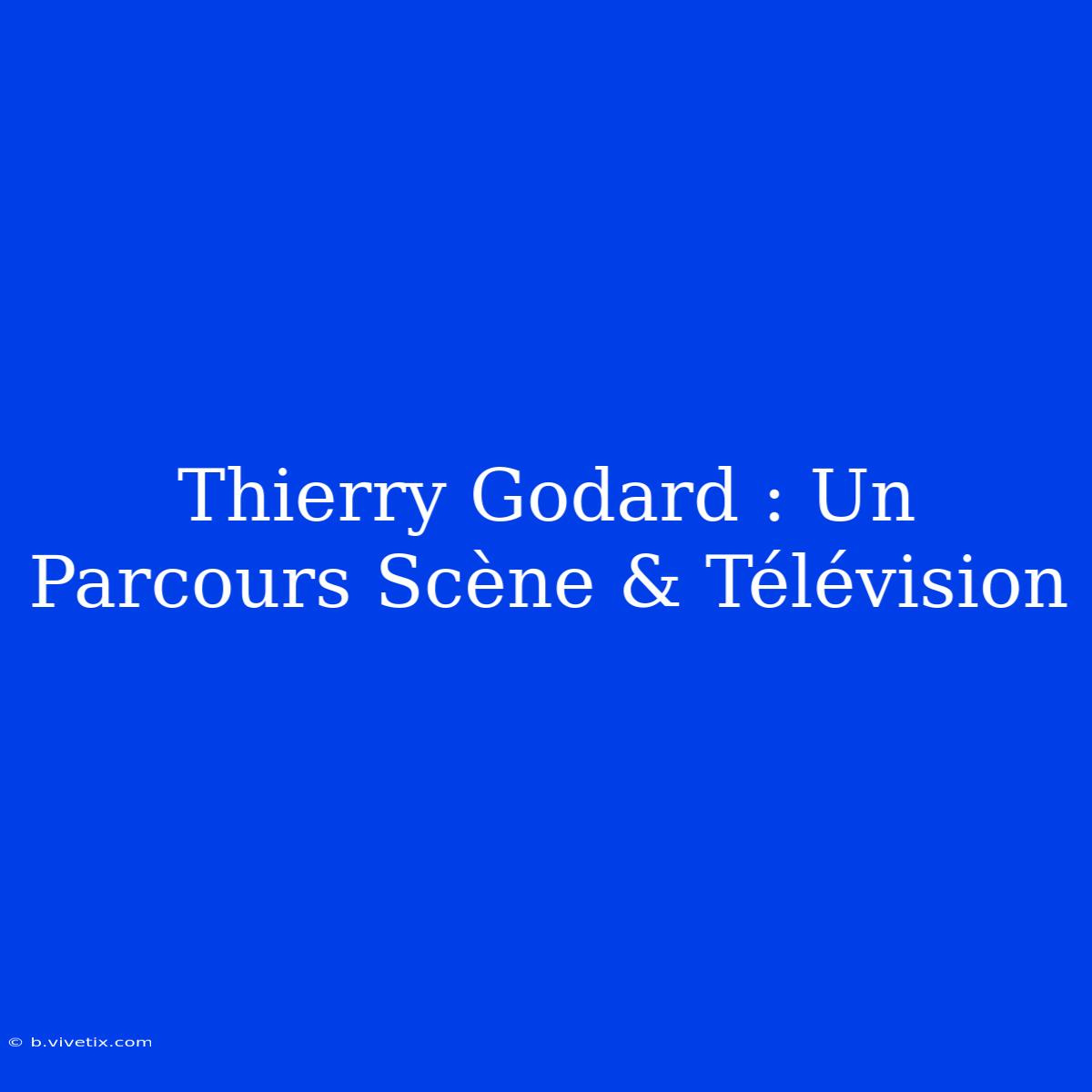 Thierry Godard : Un Parcours Scène & Télévision