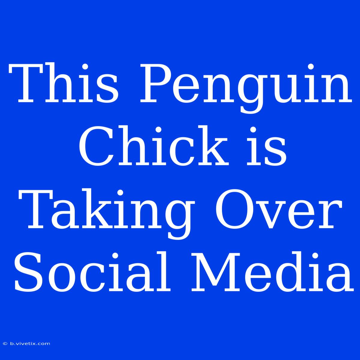 This Penguin Chick Is Taking Over Social Media