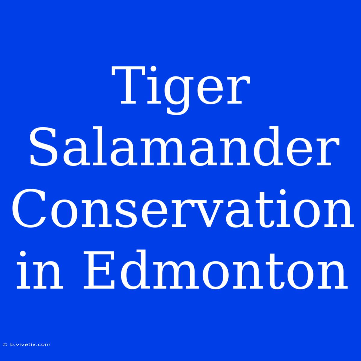 Tiger Salamander Conservation In Edmonton