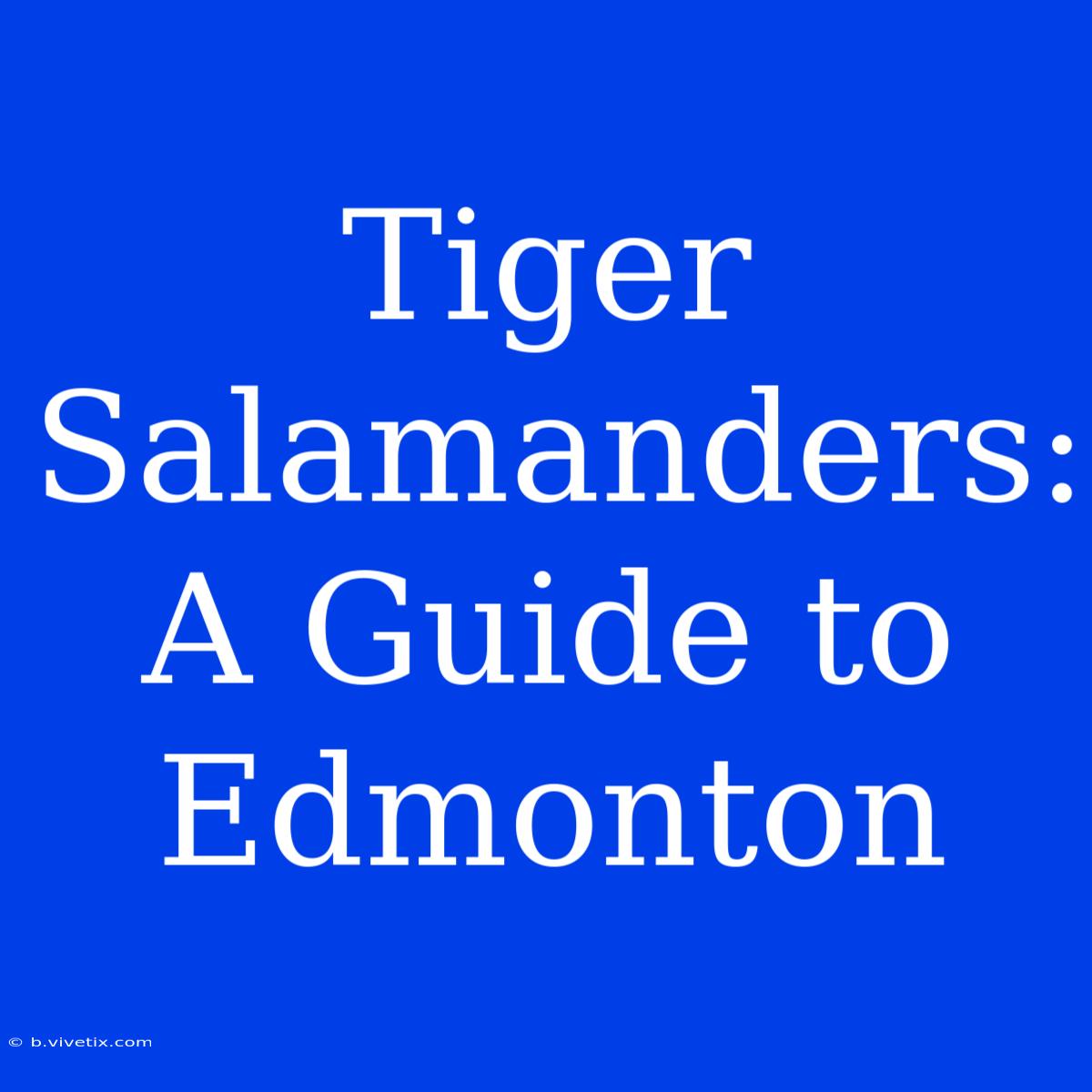 Tiger Salamanders: A Guide To Edmonton