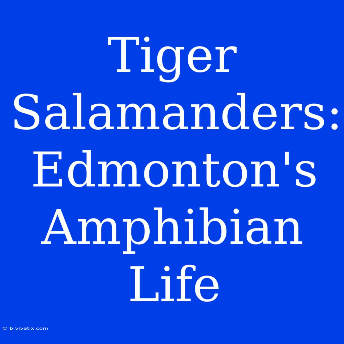 Tiger Salamanders: Edmonton's Amphibian Life