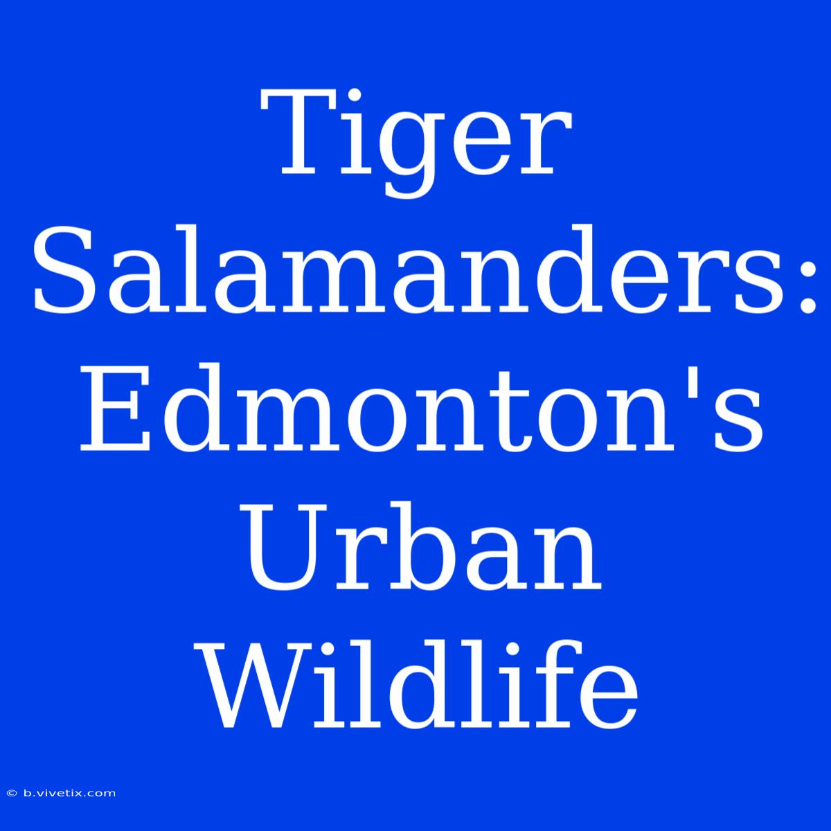 Tiger Salamanders: Edmonton's Urban Wildlife