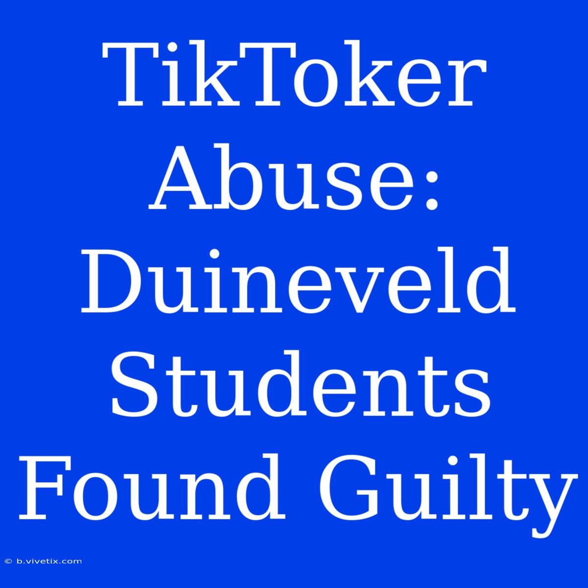 TikToker Abuse: Duineveld Students Found Guilty