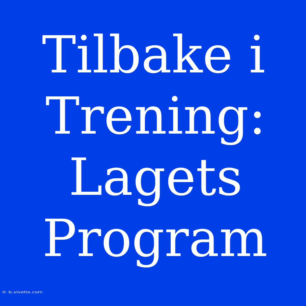 Tilbake I Trening: Lagets Program