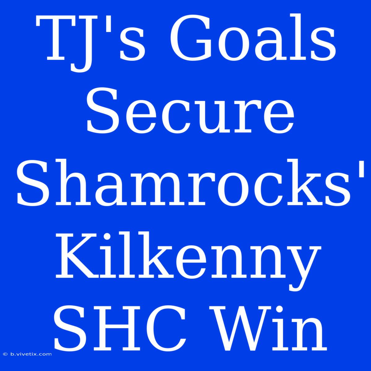 TJ's Goals Secure Shamrocks' Kilkenny SHC Win