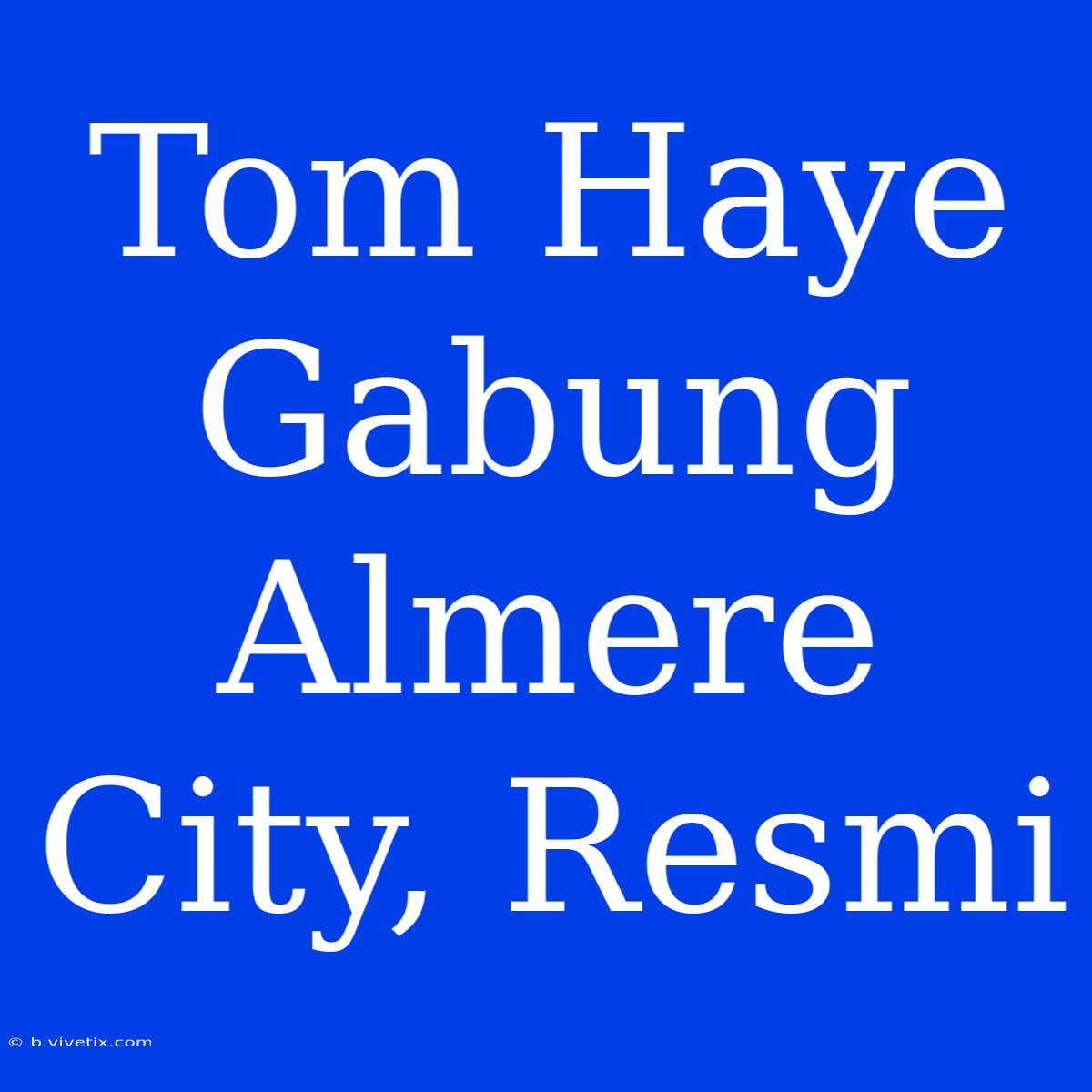 Tom Haye Gabung Almere City, Resmi