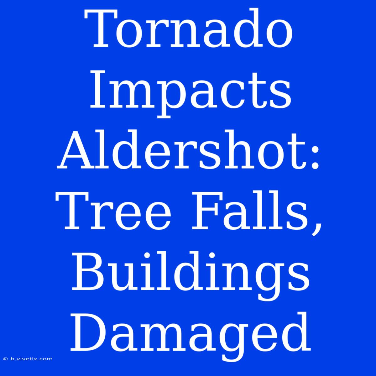 Tornado Impacts Aldershot: Tree Falls, Buildings Damaged