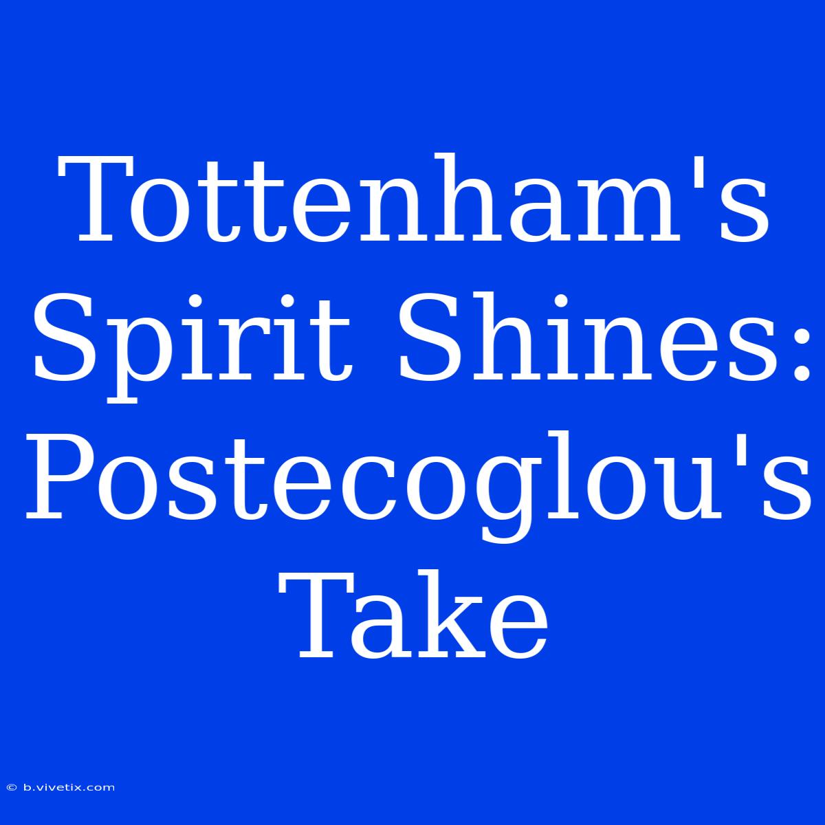 Tottenham's Spirit Shines: Postecoglou's Take