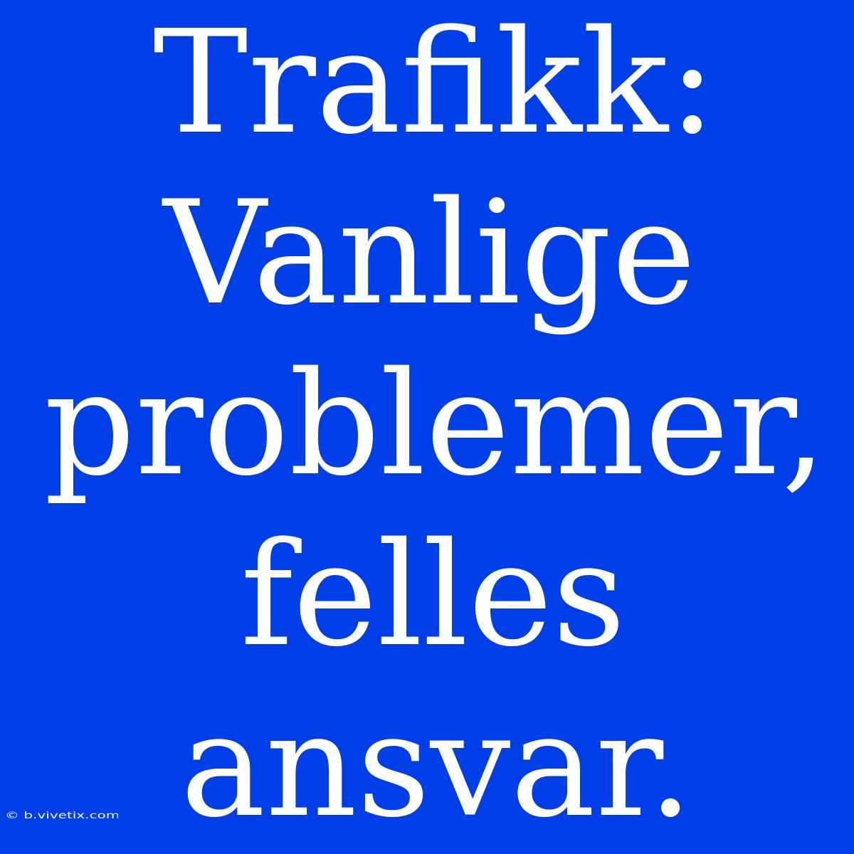 Trafikk: Vanlige Problemer, Felles Ansvar.