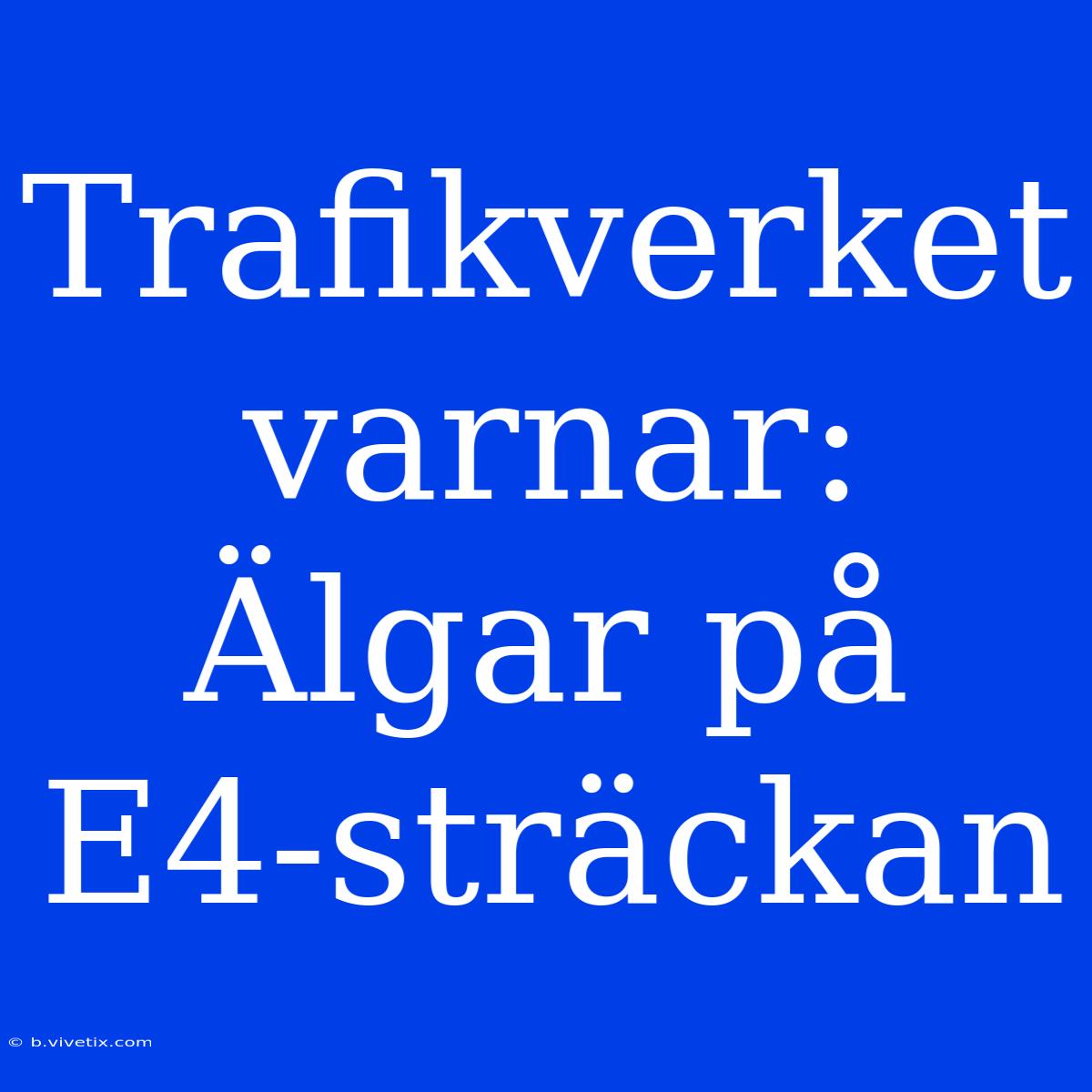 Trafikverket Varnar: Älgar På E4-sträckan