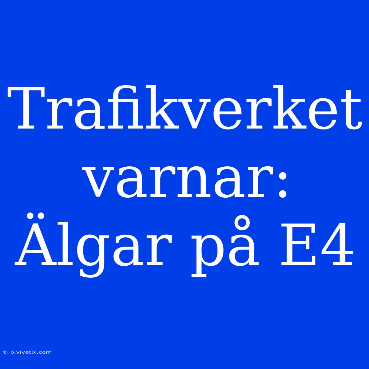 Trafikverket Varnar: Älgar På E4